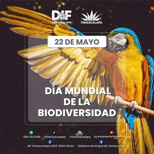 1684768419 Reafirmamos el compromiso con la conservacion de la biodiversidad Respetando jpg