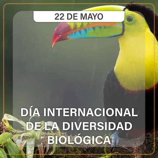 1684769082 El Dia Internacional de la Diversidad Biologica se celebra jpg