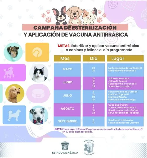 1684769624 Todos los meses hay campanas de esterilizacion y vacunacion canina jpg