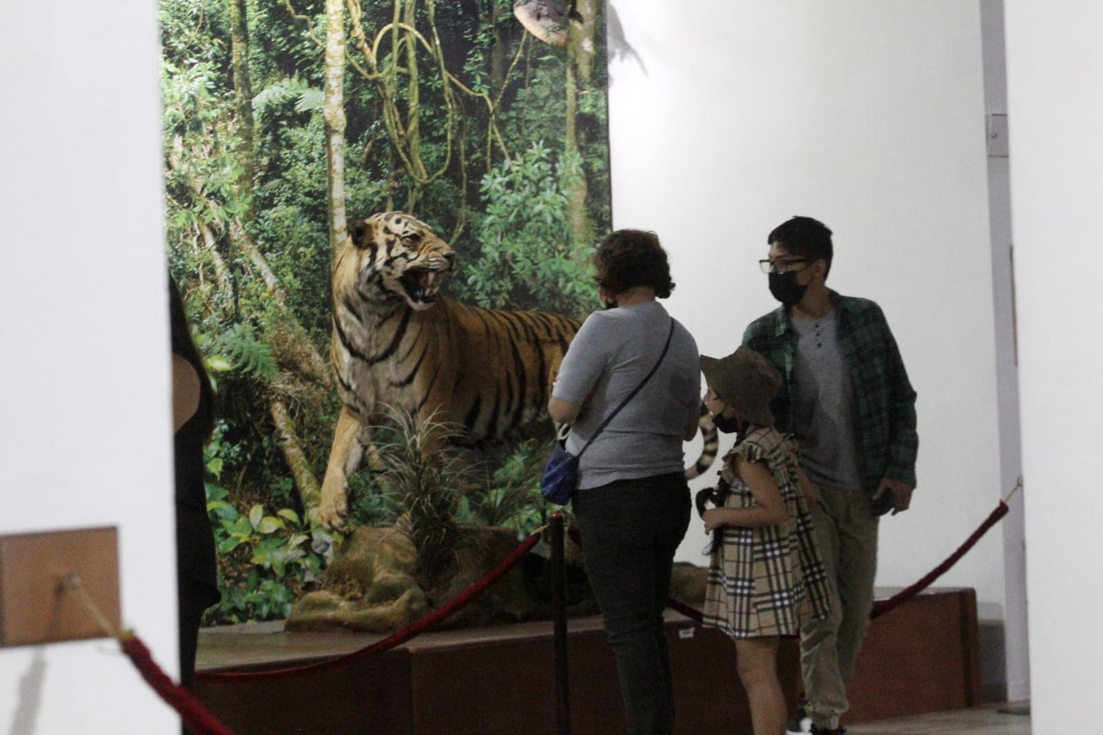 1684769854 874 En Ecatepec contamos con el Museo de Historia Natural un