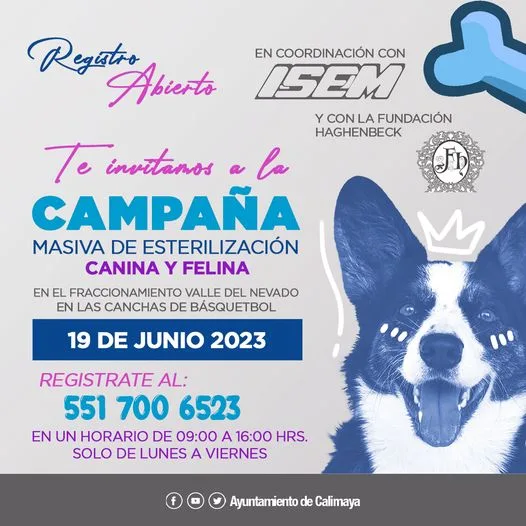 1684780960 IMPORTANTE EL REGISTRO ES PARA UNA MASCOTA jpg