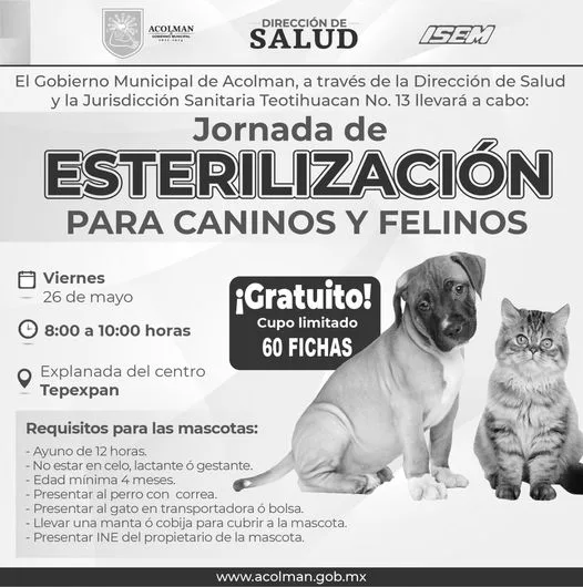 1684785158 Jornada de esterilizacion en Acolman Checa aqui la fecha horario jpg