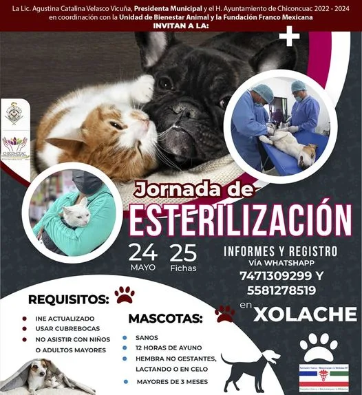 1684787922 JORNADA DE ESTERILIZACION 2023 jpg