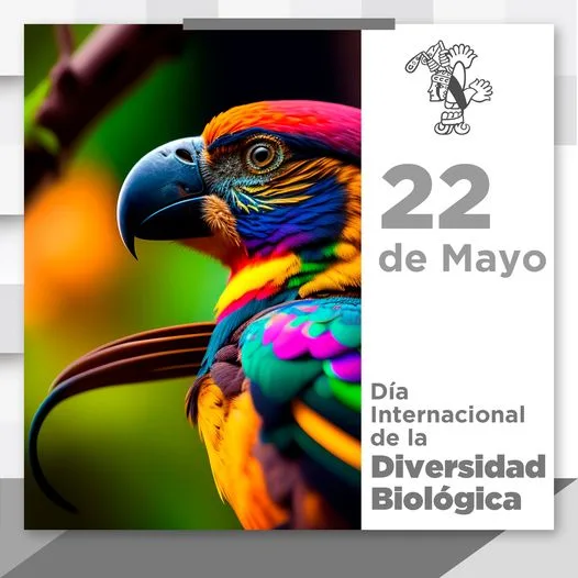 1684788099 Este Dia Internacional de la Diversidad Biologica reconocemos la gran jpg