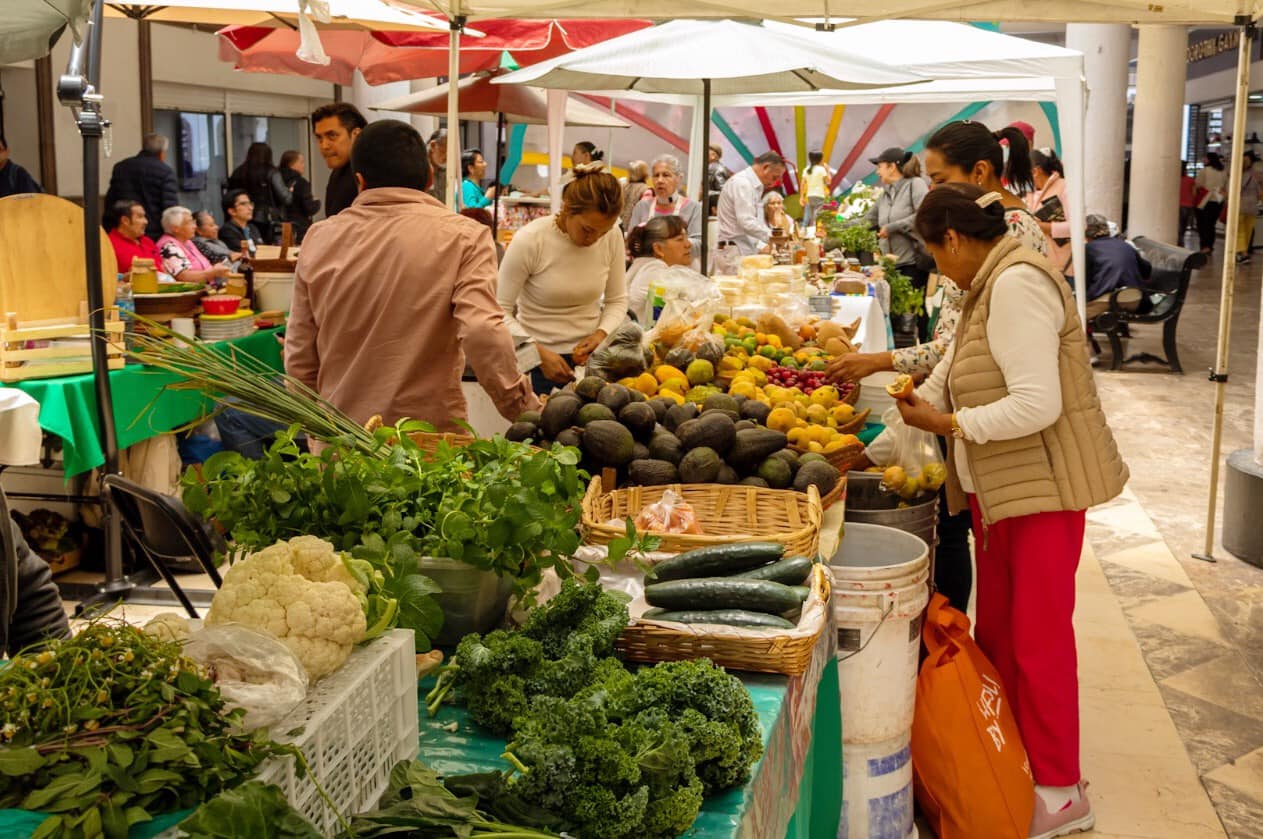 1684793011 154 ¡Acompananos al HuertoSustentable del DIF Toluca Te esperamos en la