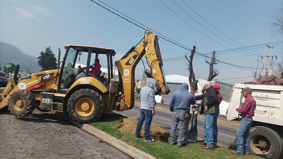 1684793423 450 Reforestamos nuestro Boulevard Narciso Bassols Personal del Ayuntamiento realiz