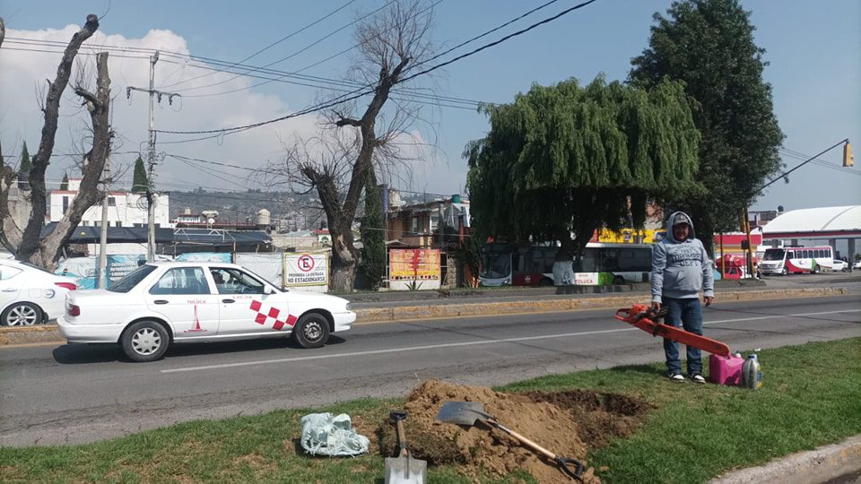 1684793430 194 Reforestamos nuestro Boulevard Narciso Bassols Personal del Ayuntamiento realiz