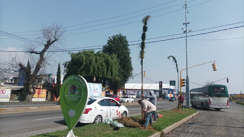 1684793447 333 Reforestamos nuestro Boulevard Narciso Bassols Personal del Ayuntamiento realiz