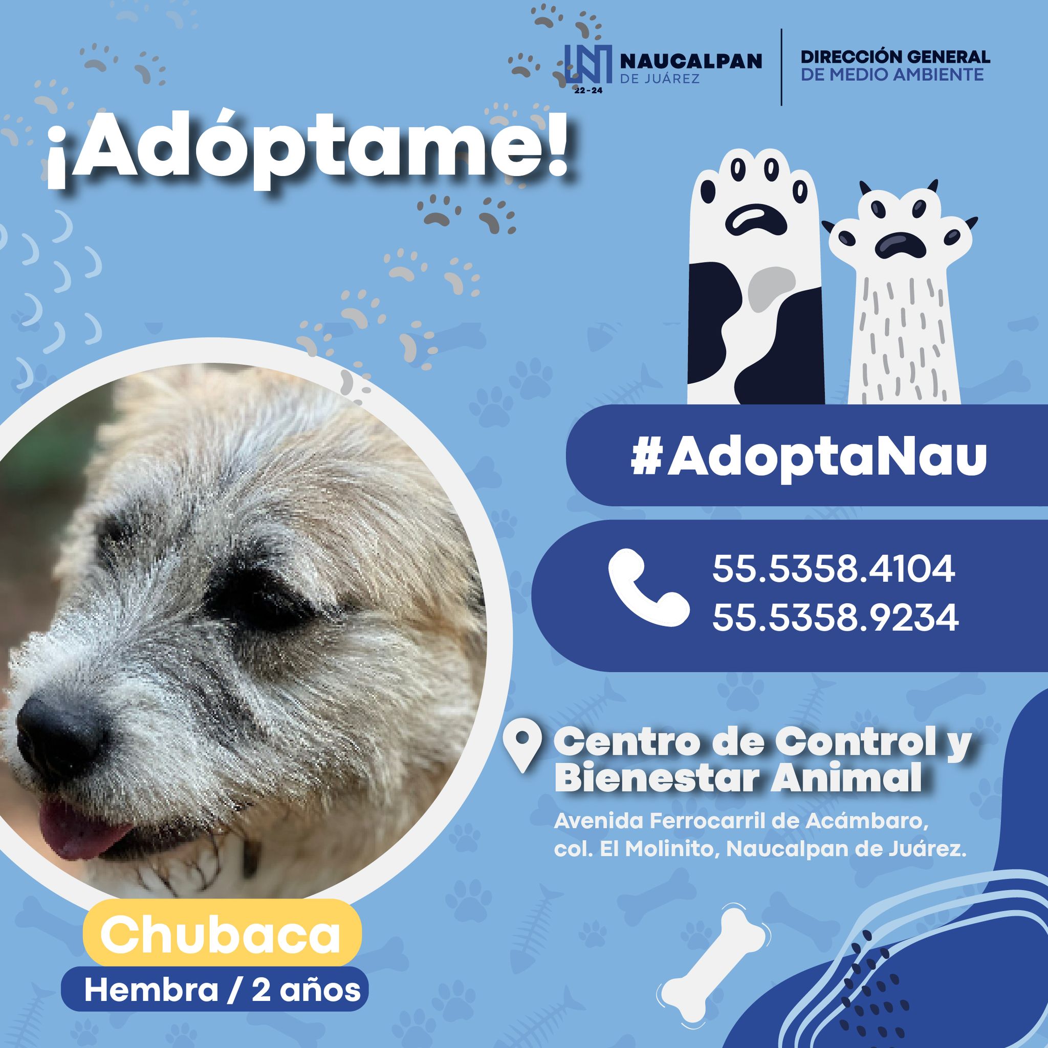 1684798581 892 ¡Peludos en adopcion Ayudanos a encontrarle hogar a estos animalitos