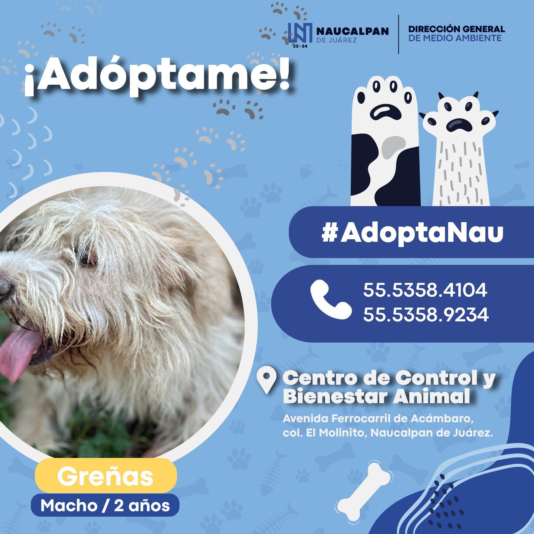 1684798595 166 ¡Peludos en adopcion Ayudanos a encontrarle hogar a estos animalitos