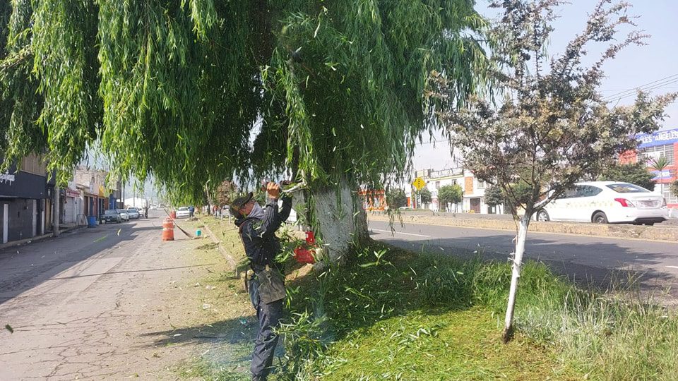 1684843820 841 Estamos trabajando en el mantenimiento de nuestras areas verdes ubicadas