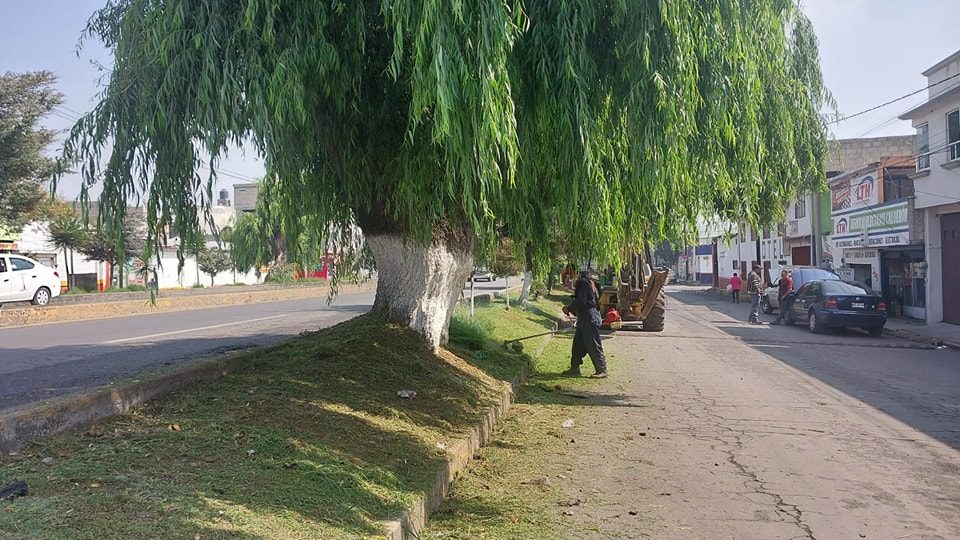 1684843827 19 Estamos trabajando en el mantenimiento de nuestras areas verdes ubicadas