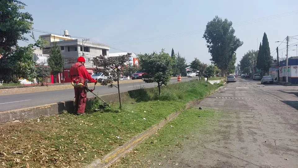 1684843900 Estamos trabajando en el mantenimiento de nuestras areas verdes ubicadas jpg