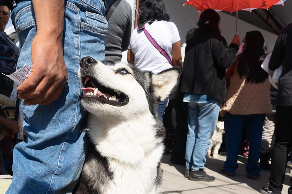 1684845989 GOBIERNO DE CHIMALHUACAN EXHORTA A LOS CIUDADANOS A UNA TENENCIA