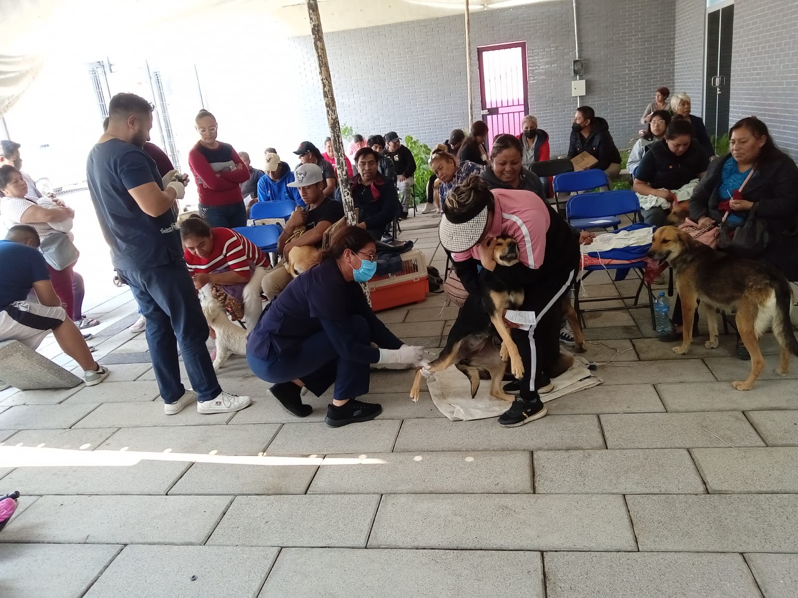 1684874372 371 Jornada de esterilizacion canina y felina