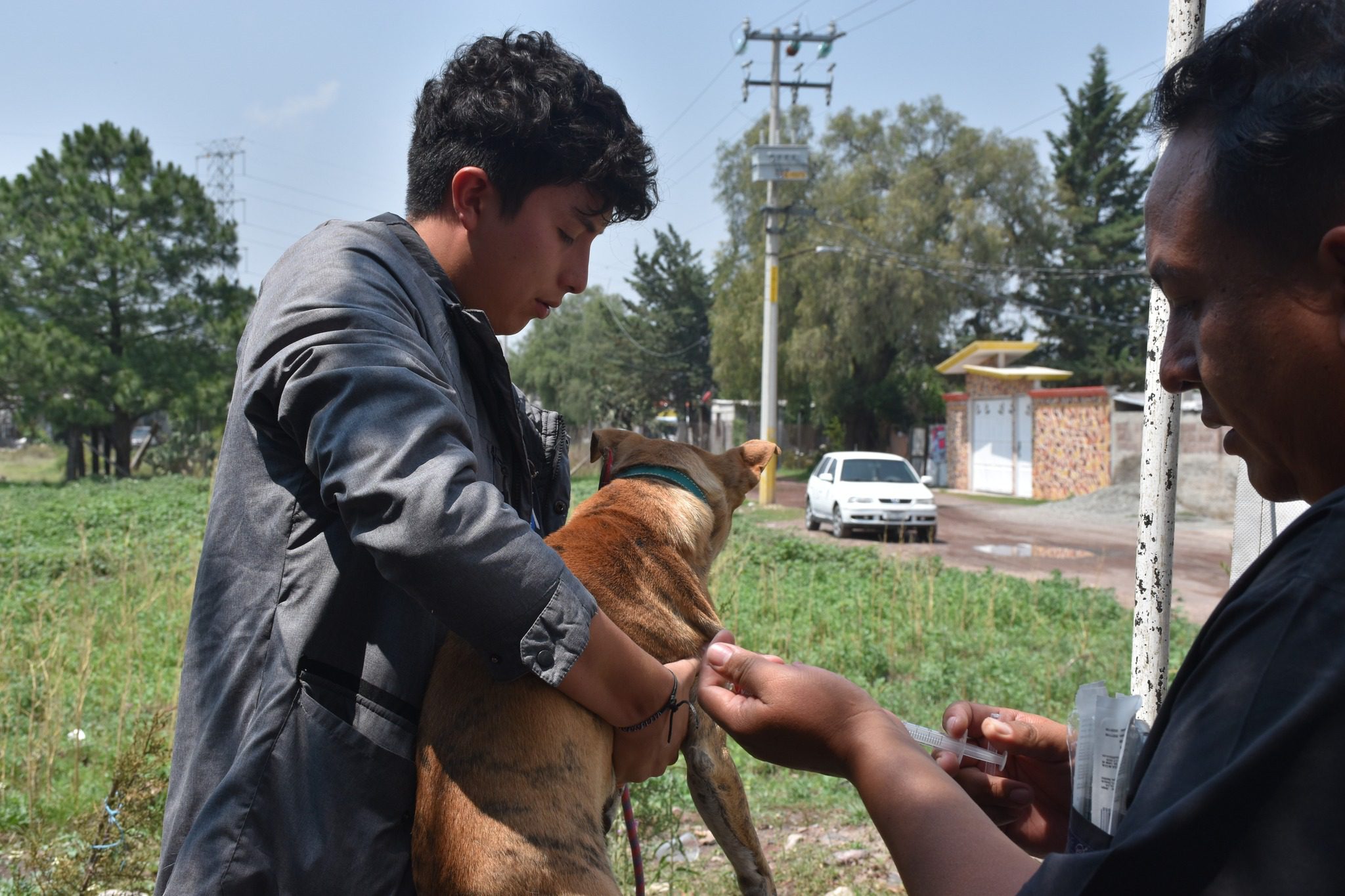 1684929626 252 Dimos por finalizada la jornada de esterilizacion gratuita en la