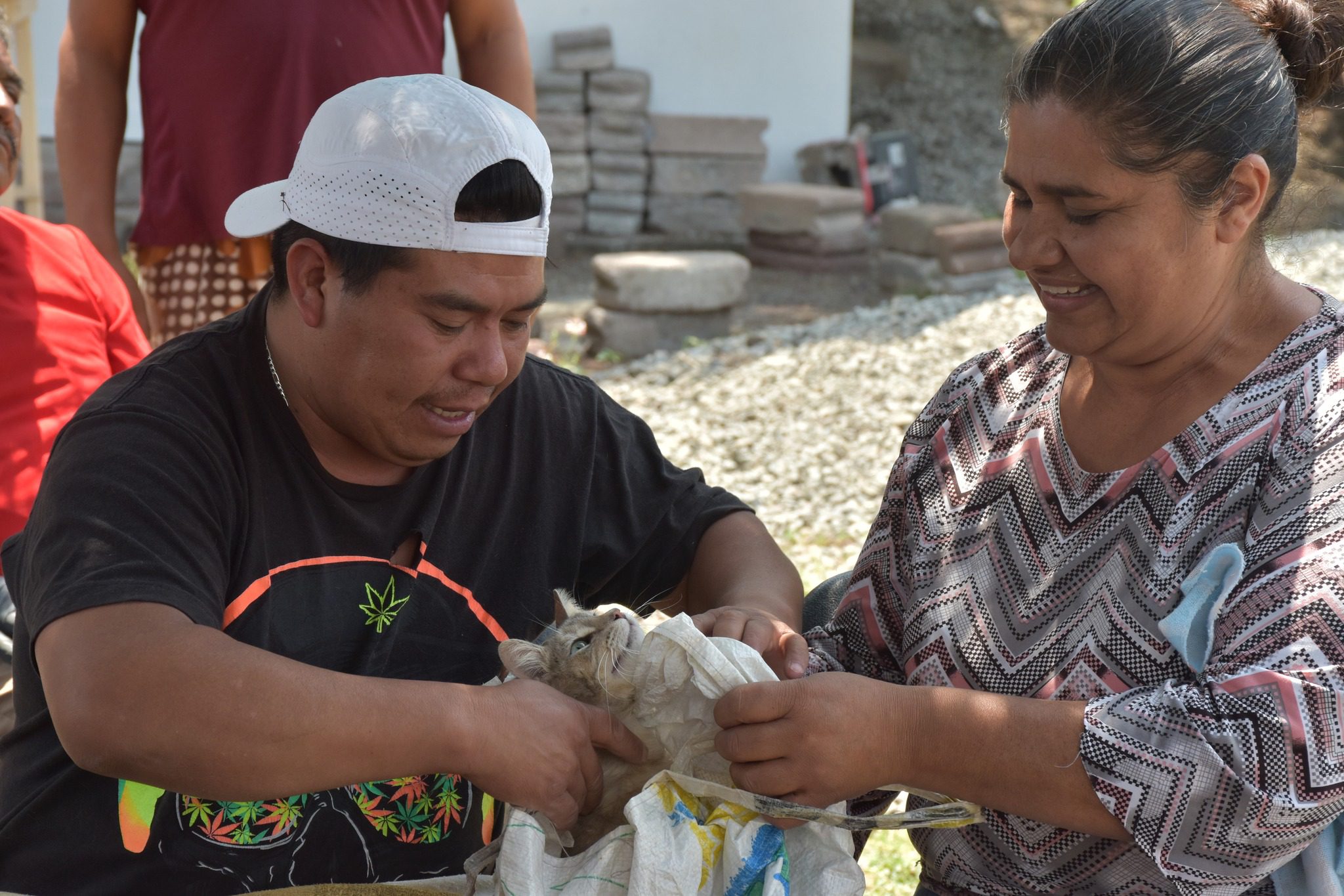 1684929643 623 Dimos por finalizada la jornada de esterilizacion gratuita en la