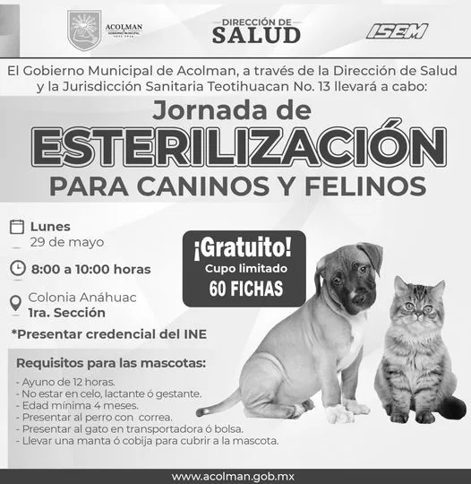 1684954497 La salud de tus mascotas tambien es importante Acude a jpg