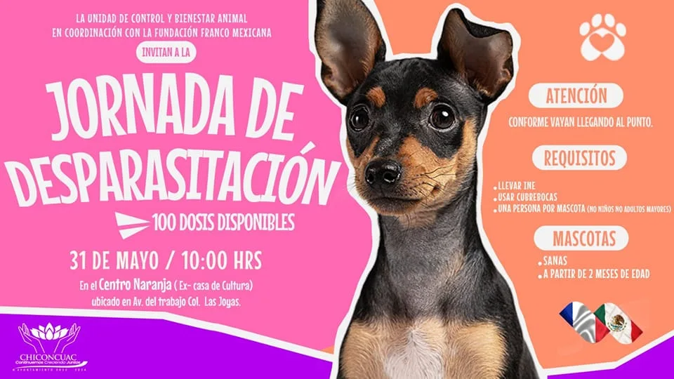 1684957075 Se llevara a cabo la Jornada de Desparasitacion canina y jpg