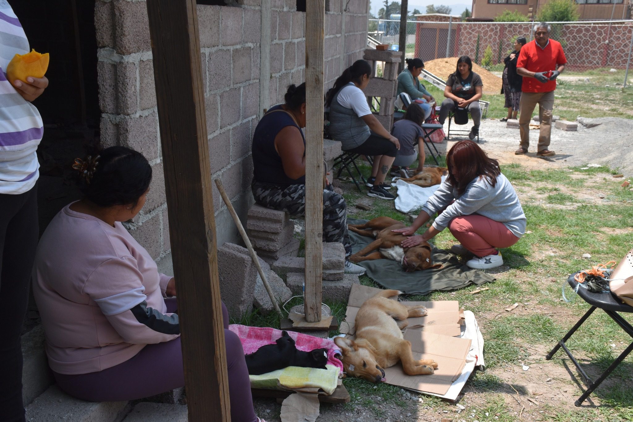 1684969696 191 Continuamos con las Jornadas de Esterilizacion Gratuita este dia se