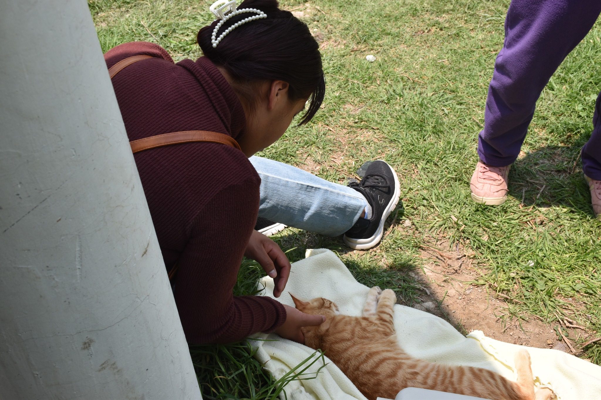 1684969706 898 Continuamos con las Jornadas de Esterilizacion Gratuita este dia se