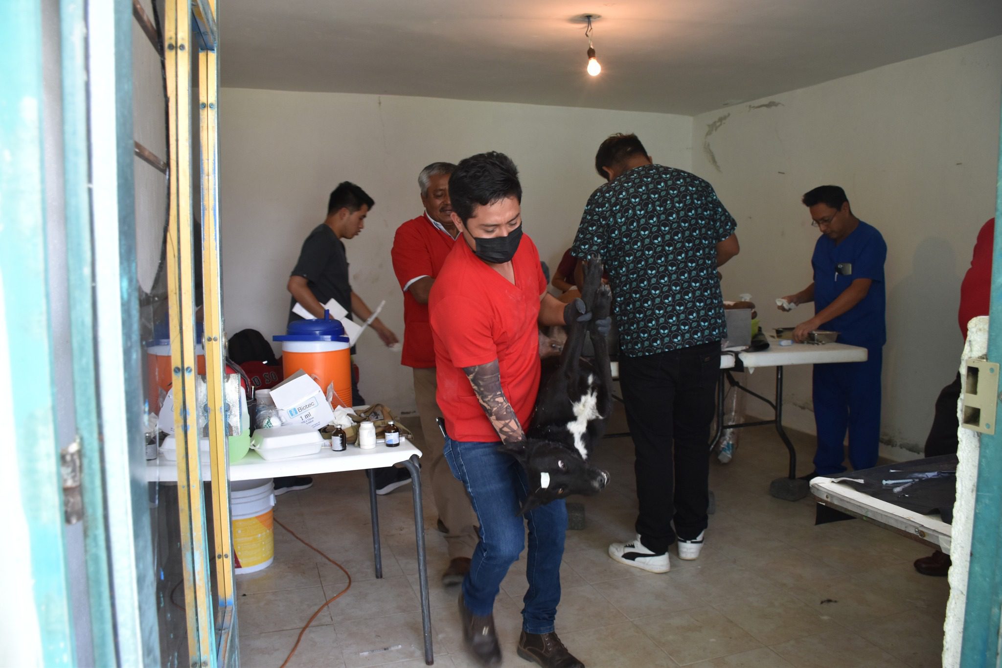 1684969711 339 Continuamos con las Jornadas de Esterilizacion Gratuita este dia se