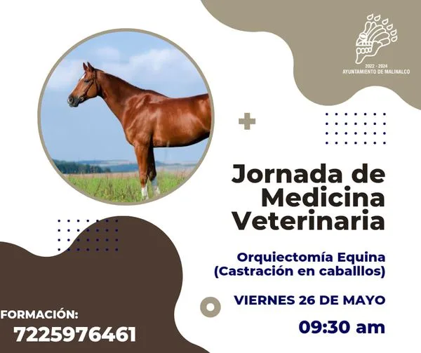 1685025526 Te invitamos a la Jornada de Medicina Veterinaria en el jpg