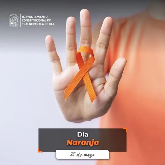 El 25 De Cada Mes Se Conmemora El Día Naranja Un Día Para Actuar Generar Conci Estado De México 