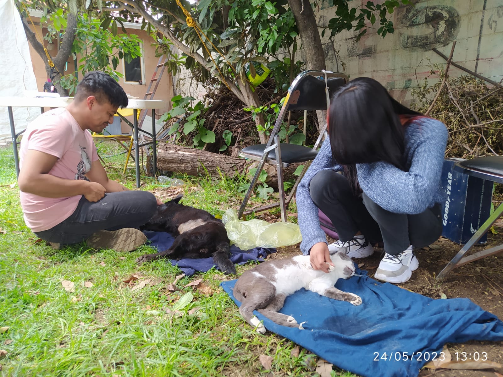 1685051318 735 CON EXITO SE LLEVO ACABO LA CAMPANA DE ESTERILIZACION