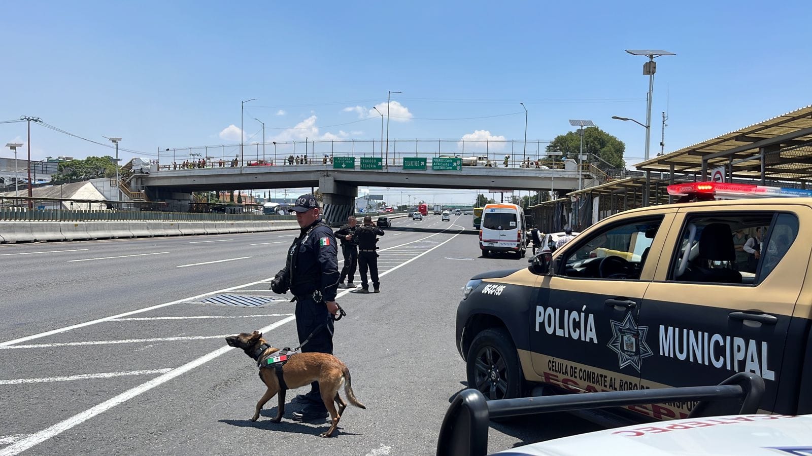 1685142565 880 Para brindar seguridad a los usuarios del transporte publico elementos