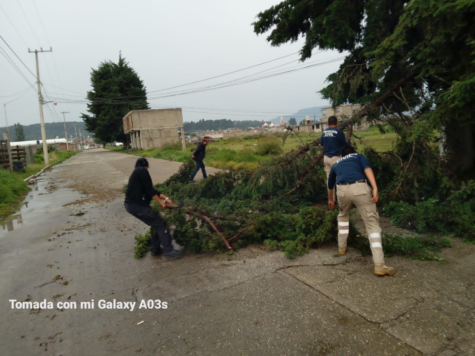 1685191224 968 Esta tarde personal de la Brigada Municipal Proteccion Civil y