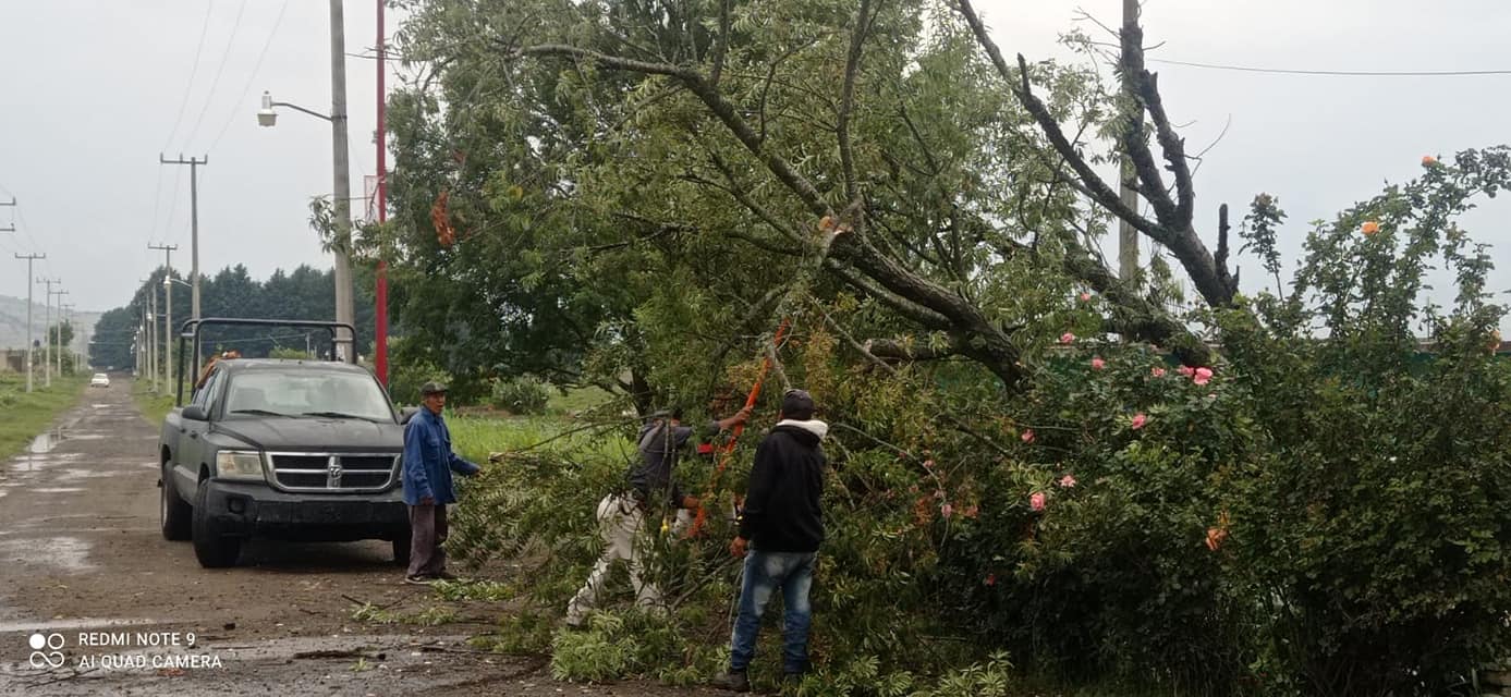 1685191256 Esta tarde personal de la Brigada Municipal Proteccion Civil y