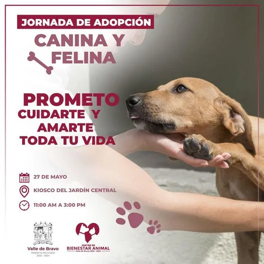 1685219732 Las y los invitamos a nuestra Jornada de Adopcion que jpg