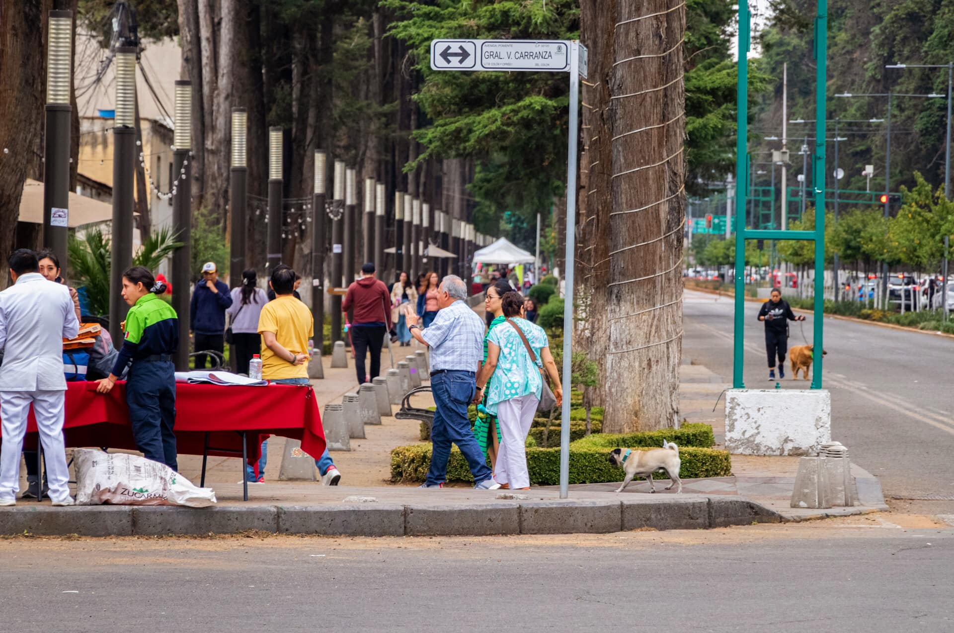 1685287578 163 ¡Excelente domingo Toluca Disfruta de nuestro tradicional PaseoDominical en