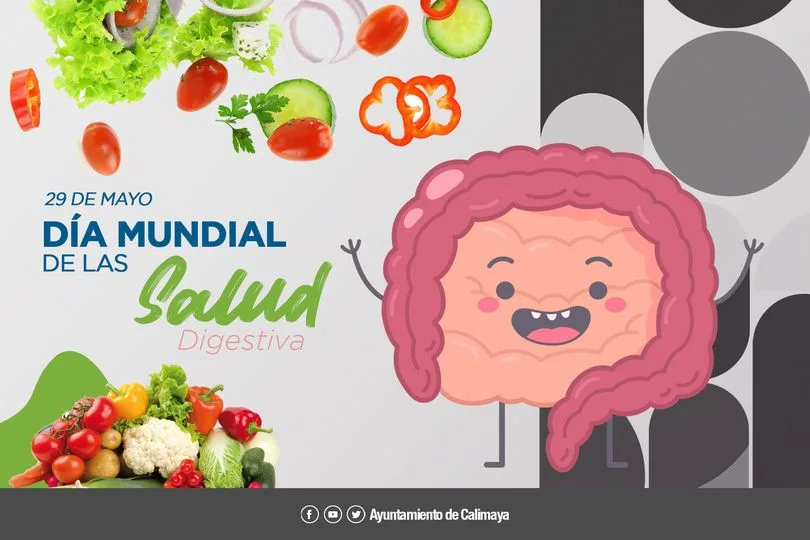 1685384201 El 29 de mayo se celebra el DiaMundialDeLaSaludDigestiva impulsado en jpg