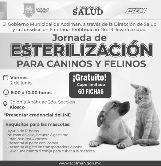 1685453443 Recuerda que la esterilizacion es importante para tu mascota ASISTE jpg