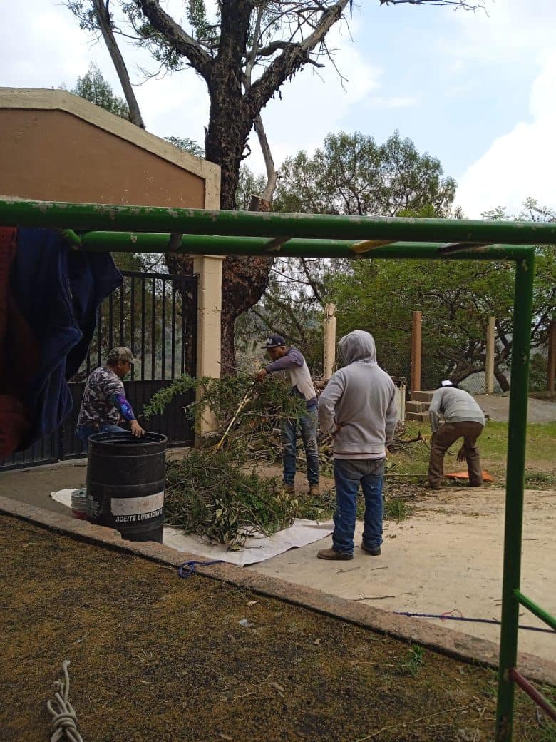 1685470759 877 A traves de nuestras brigadas permanentes y acciones de mantenimiento