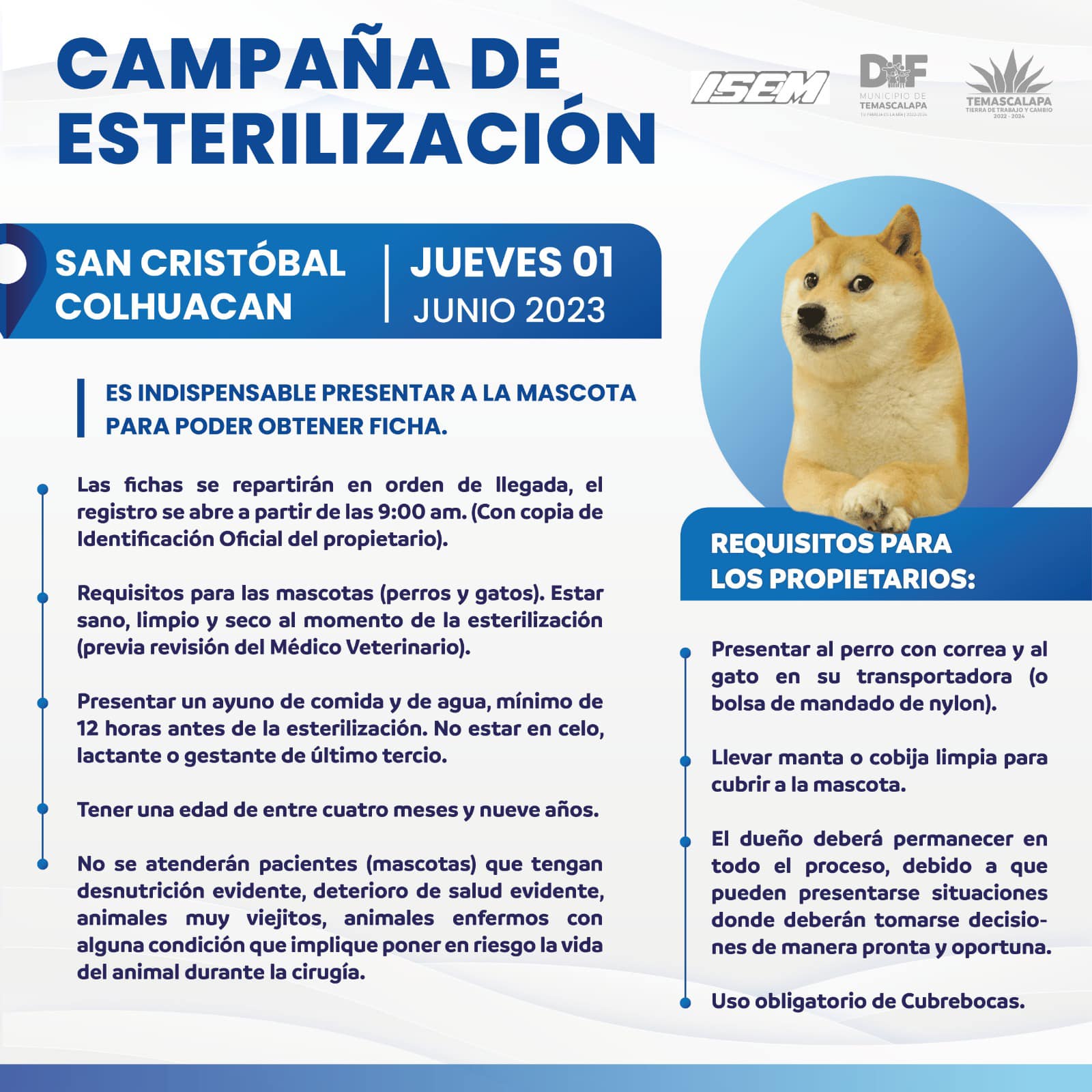 1685473045 546 Las campanas de esterilizacion generan un alto impacto en la