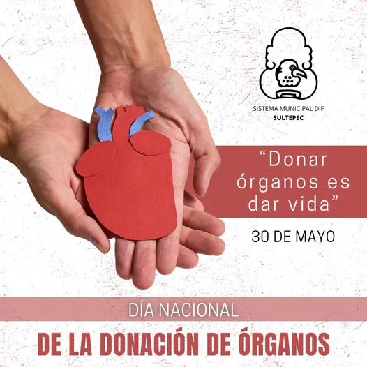 1685536787 Hoy se conmemora el Dia Nacional de la Donacion de jpg