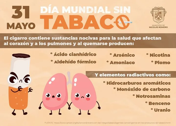 1685548917 Todos los productos que contienen tabaco tambien contienen quimicos que jpg