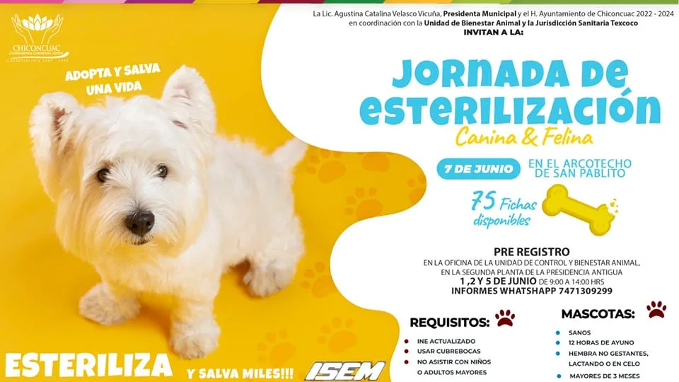 1685550166 JORNADA DE ESTERILIZACION 2023 jpg