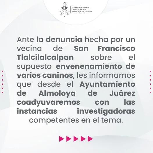 1685554610 La prevencion y erradicacion del maltrato animal es una responsabilidad jpg