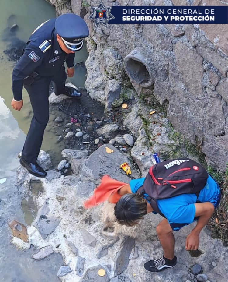 1685555001 788 RescateAnimal ¡En Toluca cuidamos a los animales