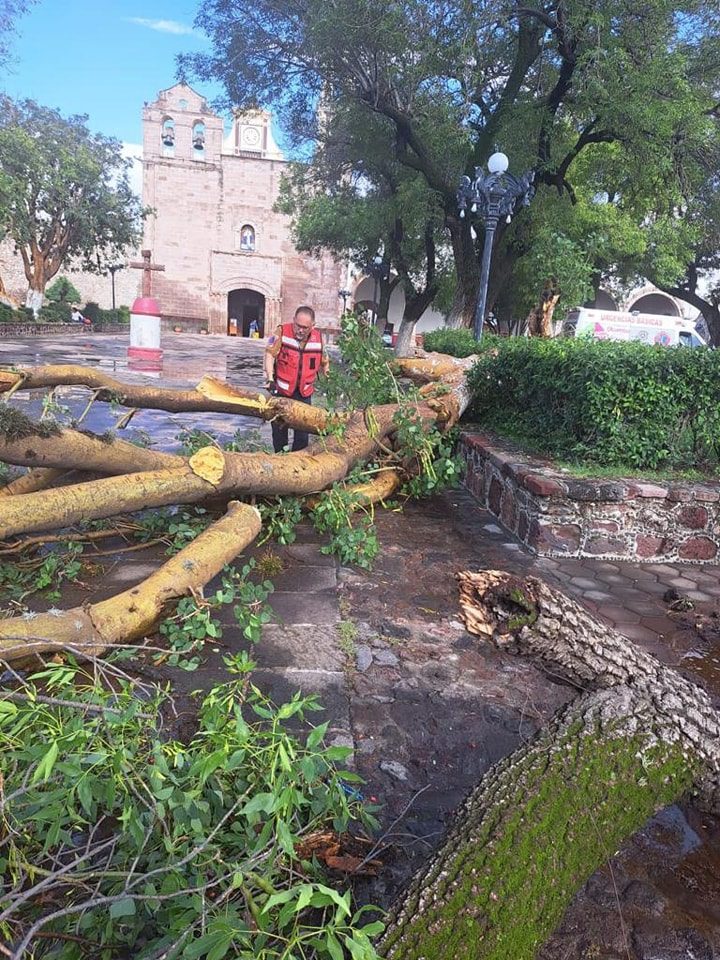 1685563345 63 La Direccion de Ecologia en coordinacion con Alumbrado Publico y