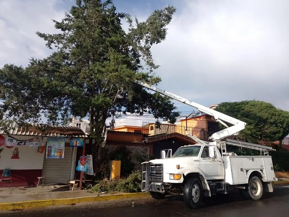 1685563411 La Direccion de Ecologia en coordinacion con Alumbrado Publico y jpg