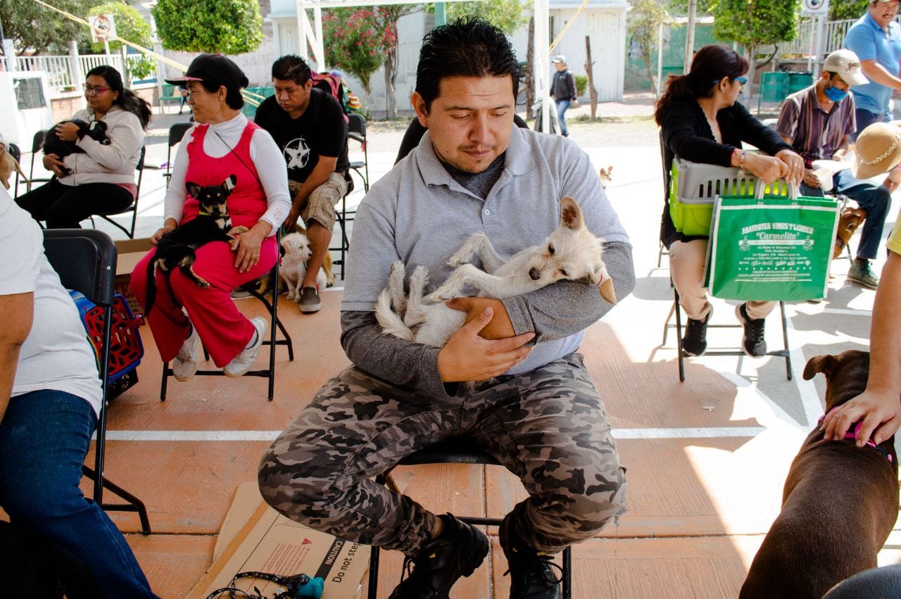 1685564618 576 GOBIERNO DE CHIMALHUACAN LLEVA CAMPANA DE ESTERILIZACION CANINA Y FELINA