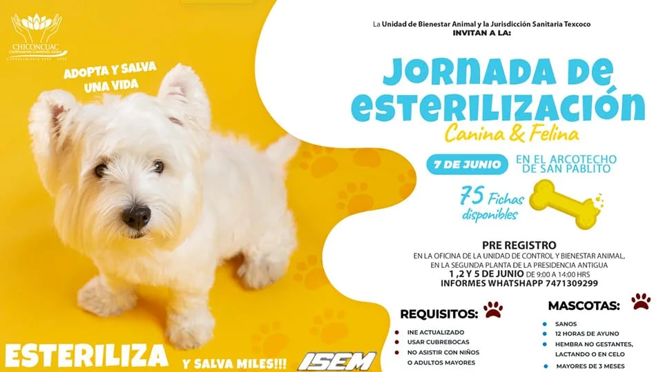 1685564748 JORNADA DE ESTERILIZACION 2023 jpg