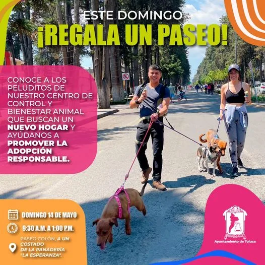 ATENCION ¡RegalaUnPaseo esta de regreso Acompananos este domingo para jpg