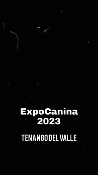 Dia 4x20e3 de nuestra ExpoCanina2023 jpg