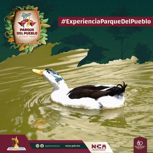 ExperienciaParqueDelPueblo Sabado de puente ¿que esperas para venir a jpg